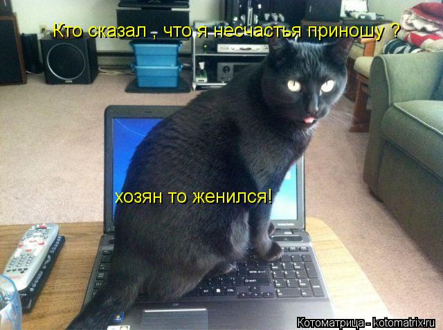 Котоматрица: Кто сказал , что я несчастья приношу ?  хозян то женился!