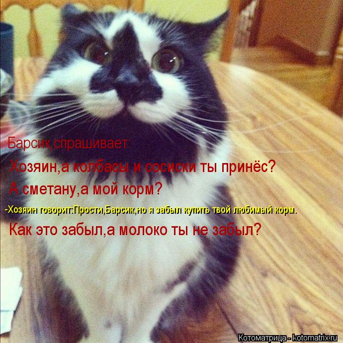 Котоматрица: А сметану,а мой корм? -Хозяин говорит:Прости,Барсик,но я забыл купить твой любимый корм. Барсик,спрашивает: Хозяин,а колбасы и сосиски ты при