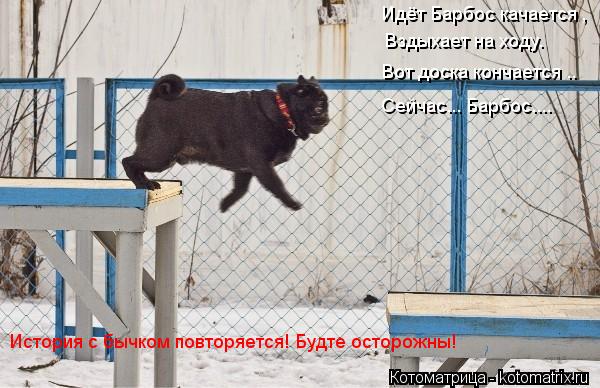 Идёт Барбос качается , Вздыхает на ходу. Вот доска кончается .. Сейчас... Барбос.... История с бычком... Котоматрица: Идёт Барбос качается , Вздыхает на ходу. Вот доска кончается .. Сейчас... Барбос.... История с бычком повторяется! Будте осторожны!
