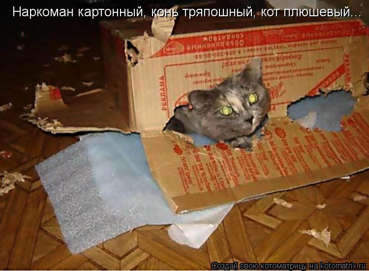 Котоматрица: Наркоман картонный, конь тряпошный, кот плюшевый...