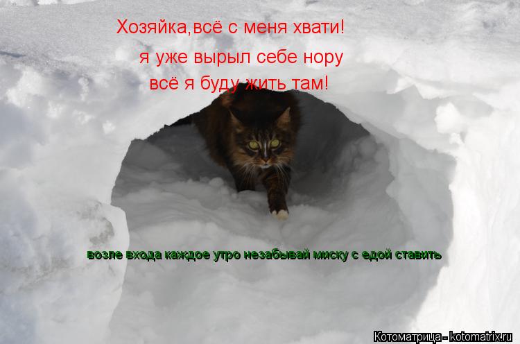 Хозяйка,всё с меня хвати! я уже вырыл себе нору всё я буду жить там! возле входа каждое утро незабыва... Котоматрица: Хозяйка,всё с меня хвати! я уже вырыл себе нору всё я буду жить там! возле входа каждое утро незабывай миску с едой ставить