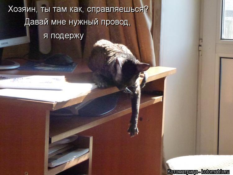 Котоматрица: Хозяин, ты там как, справляешься?  Давай мне нужный провод,  я подержу