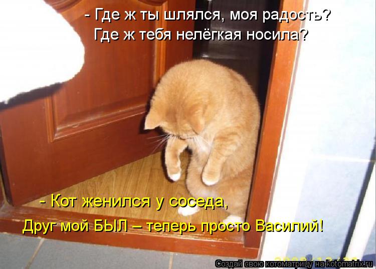 - Где ж ты шлялся, моя радость? Где ж тебя нелёгкая носила? - Кот женился у соседа, Друг мой БЫЛ ... Котоматрица: - Где ж ты шлялся, моя радость? Где ж тебя нелёгкая носила? - Кот женился у соседа, Друг мой БЫЛ – теперь просто Василий!