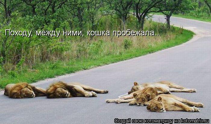 Походу, между ними, кошка пробежала...... Котоматрица: Походу, между ними, кошка пробежала...