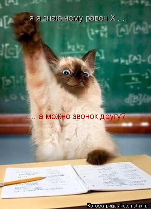 Котоматрица: я я знаю чему равен X .... ......... а можно звонок другу? ......... а можно звонок другу?
