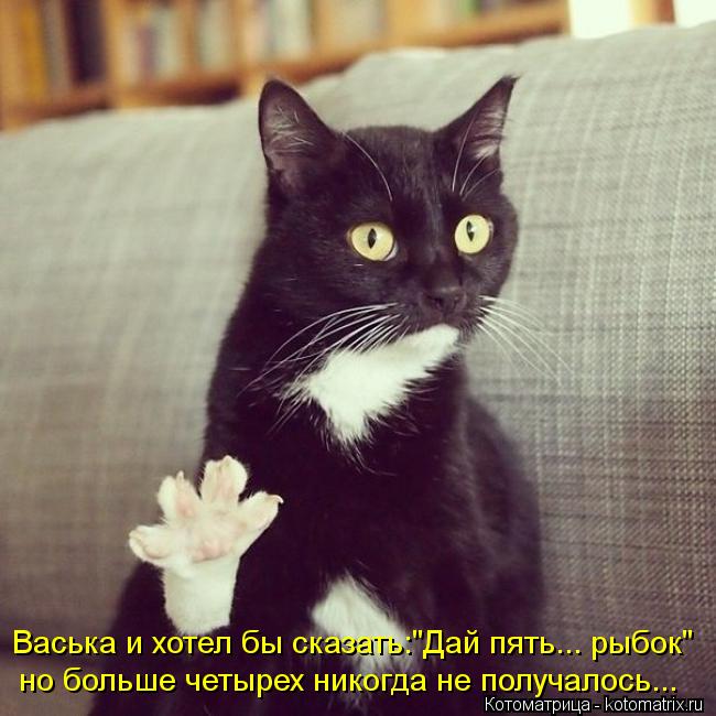 Васька и хотел бы сказать:"Дай пять... рыбок" но больше четырех никогда не получалось...... Котоматрица: Васька и хотел бы сказать:"Дай пять... рыбок" но больше четырех никогда не получалось...