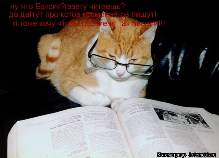 ну что Баксик?газету читаешь? да да!тут про котов космонавтов пишут! я тоже хочу чтобы про меня так п... Котоматрица: ну что Баксик?газету читаешь? да да!тут про котов космонавтов пишут! я тоже хочу чтобы про меня так писали!!!