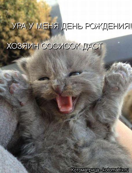 УРА У МЕНЯ ДЕНЬ РОЖДЕНИЯ!!!!!!!!!!!!!!!!! ХОЗЯИН СОСИСОК ДАСТ... Котоматрица: УРА У МЕНЯ ДЕНЬ РОЖДЕНИЯ!!!!!!!!!!!!!!!!! ХОЗЯИН СОСИСОК ДАСТ