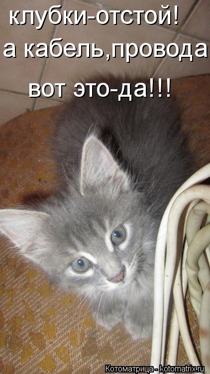 клубки-отстой! а кабель,провода вот это-да!!!... Котоматрица: клубки-отстой! а кабель,провода вот это-да!!!