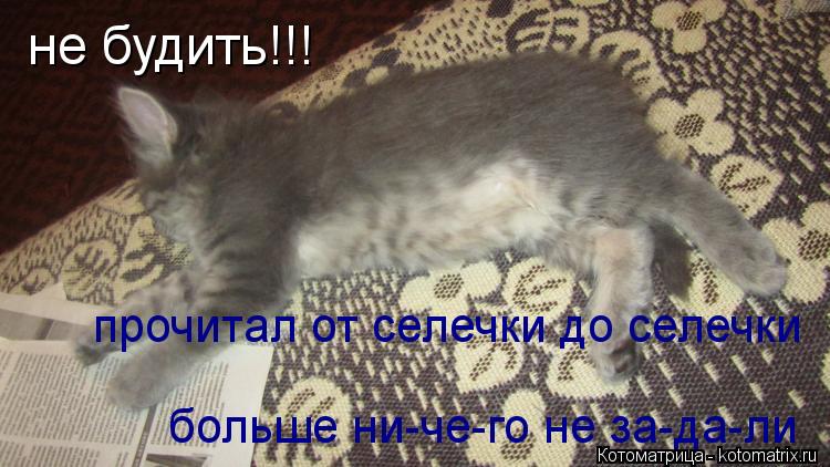 не будить!!! больше ни-че-го не за-да-ли прочитал от селечки до селечки... Котоматрица: не будить!!! больше ни-че-го не за-да-ли прочитал от селечки до селечки