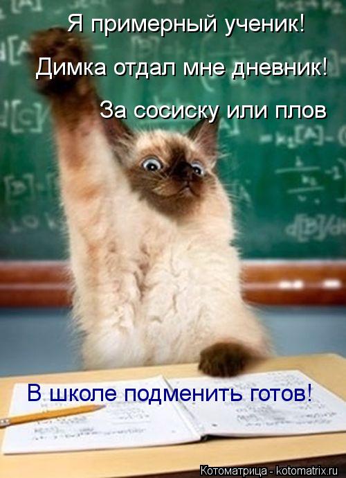 Котоматрица: Я примерный ученик! За сосиску или плов В школе подменить готов! Димка отдал мне дневник!