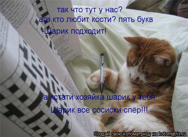так что тут у нас? ага кто любит кости? пять букв а кстати хозяйка шарик у тебя -Шарик подходит! Шари... Котоматрица: так что тут у нас? ага кто любит кости? пять букв а кстати хозяйка шарик у тебя -Шарик подходит! Шарик все сосиски спёр!!!