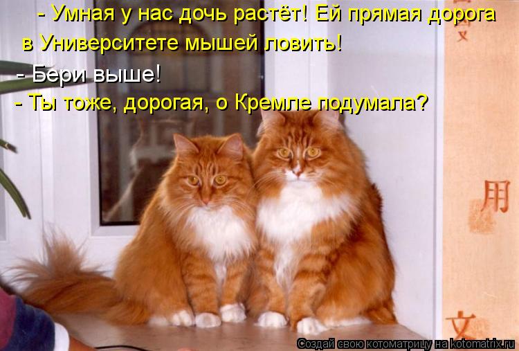 - Умная у нас дочь растёт! Ей прямая дорога в Университете мышей ловить! - Бери выше! - Бери выше! - ... Котоматрица: - Умная у нас дочь растёт! Ей прямая дорога в Университете мышей ловить! - Бери выше! - Бери выше! - Ты тоже, дорогая, о Кремле подумала?