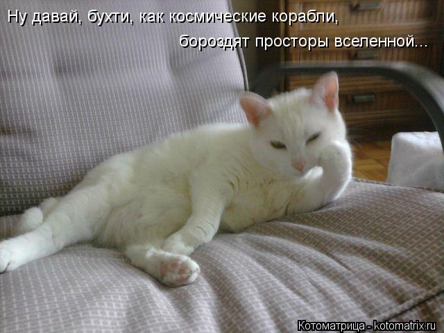 Котоматрица: Ну давай, бухти, как космические корабли,  бороздят просторы вселенной...