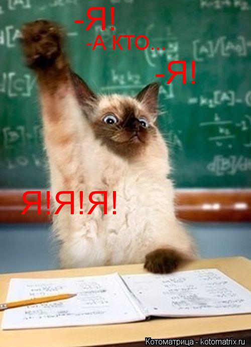 -Я! -А КТО... -Я! Я!Я!Я!... Котоматрица: -Я! -А КТО... -Я! Я!Я!Я!