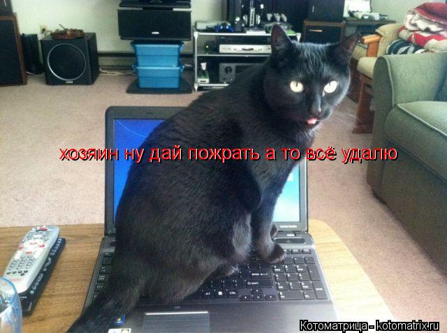 хозяин ну дай пожрать а то всё удалю хозяин ну дай пожрать а то всё удалю хозяин ну дай пожрать а то ... Котоматрица: хозяин ну дай пожрать а то всё удалю хозяин ну дай пожрать а то всё удалю хозяин ну дай пожрать а то всё удалю