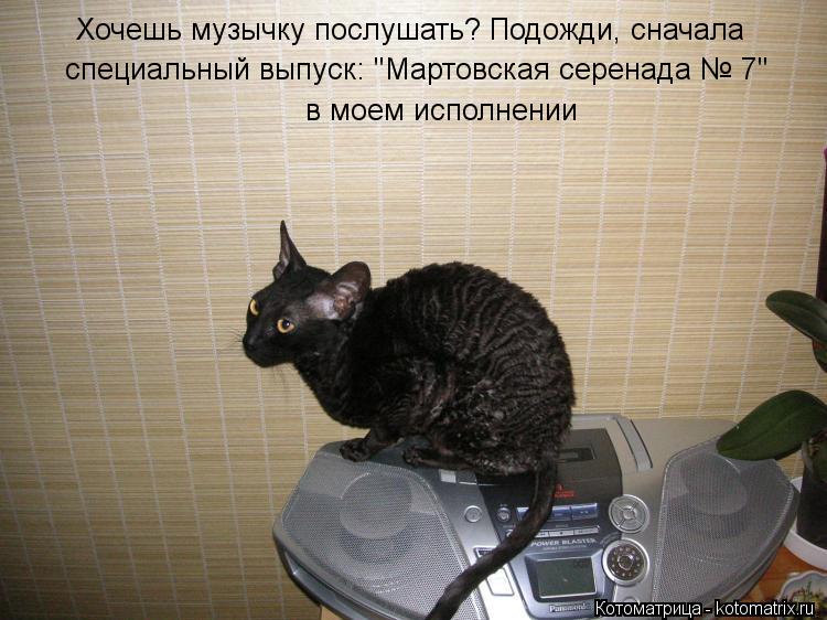 Хочешь музычку послушать? Подожди, сначала в моем исполнении специальный выпуск: "Мартовская серенада... Котоматрица: Хочешь музычку послушать? Подожди, сначала в моем исполнении специальный выпуск: "Мартовская серенада № 7"