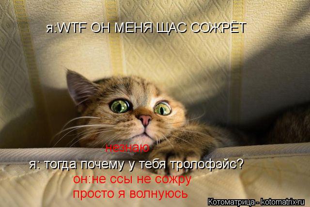 я:WTF ОН МЕНЯ ЩАС СОЖРЁТ он:не ссы не сожру просто я волнуюсь я: тогда почему у тебя тролофэйс? незна... Котоматрица: я:WTF ОН МЕНЯ ЩАС СОЖРЁТ он:не ссы не сожру просто я волнуюсь я: тогда почему у тебя тролофэйс? незнаю