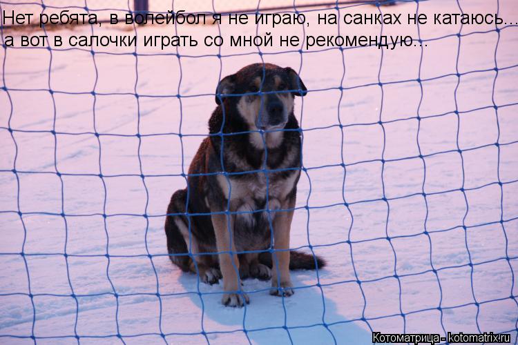 Нет ребята, в волейбол я не играю, на санках не катаюсь... а вот в салочки играть со мной не рекоменд... Котоматрица: Нет ребята, в волейбол я не играю, на санках не катаюсь... а вот в салочки играть со мной не рекомендую...