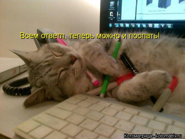 Котоматрица: Всем ответл, теперь можно и поспать!
