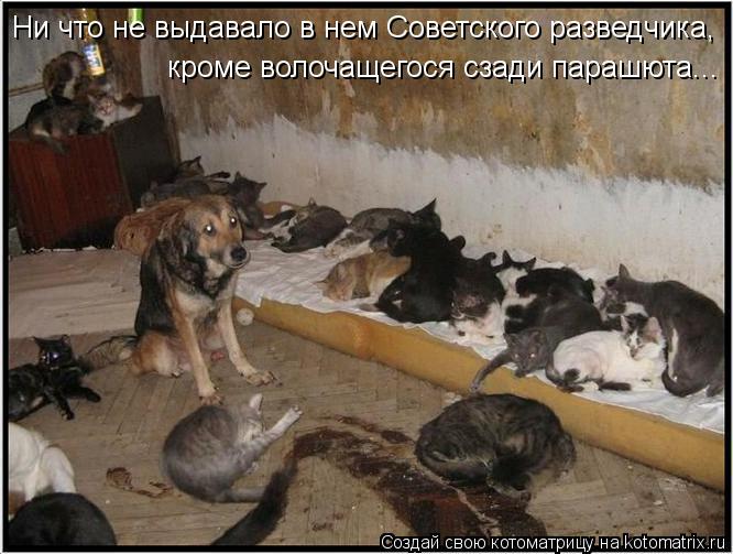 Ни что не выдавало в нем Советского разведчика, кроме волочащегося сзади парашюта...... Котоматрица: Ни что не выдавало в нем Советского разведчика, кроме волочащегося сзади парашюта...