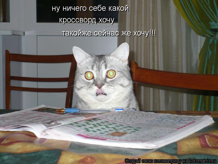 ну ничего себе какой кроссворд хочу такойже сейчас же хочу!!!... Котоматрица: ну ничего себе какой кроссворд хочу такойже сейчас же хочу!!!