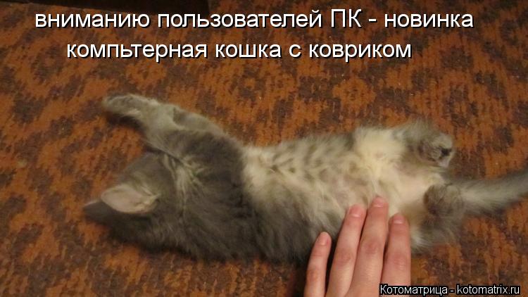 Котоматрица: вниманию пользователей ПК - новинка компьтерная кошка с ковриком