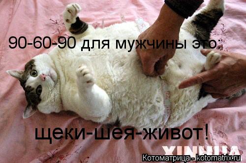 Котоматрица: 90-60-90 для мужчины это: щеки-шея-живот!