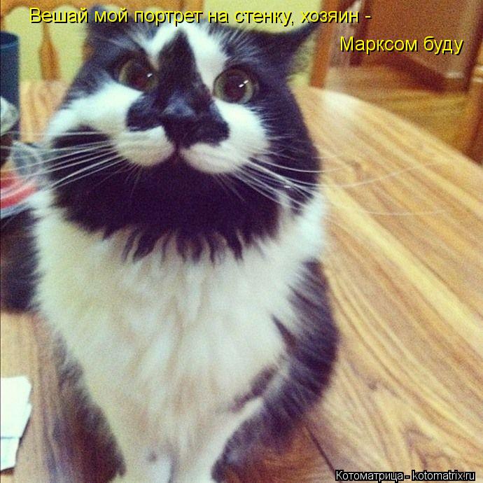 Вешай мой портрет на стенку, хозяин - Марксом буду... Котоматрица: Вешай мой портрет на стенку, хозяин - Марксом буду