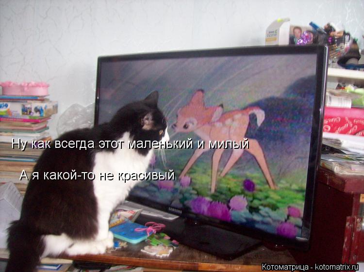 Ну как всегда этот маленький и милый А я какой-то не красивый... Котоматрица: Ну как всегда этот маленький и милый А я какой-то не красивый