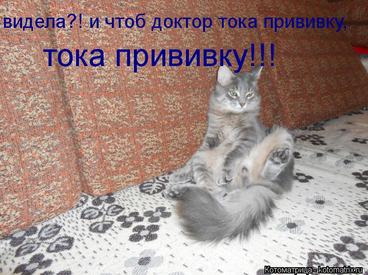 видела?! и чтоб доктор тока прививку, тока прививку!!!... Котоматрица: видела?! и чтоб доктор тока прививку, тока прививку!!!