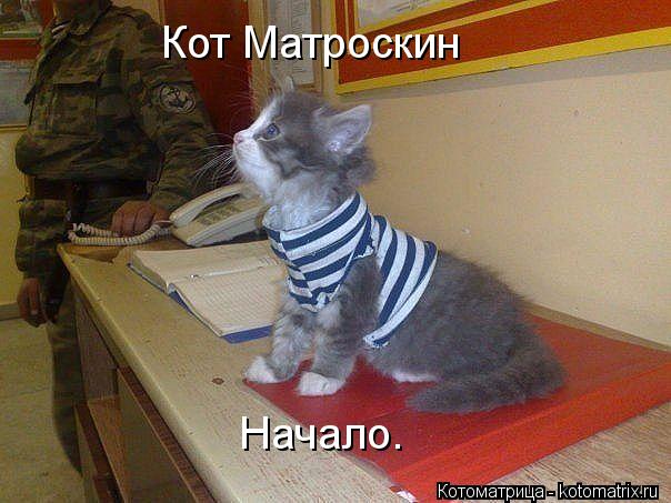 Котоматрица: Кот Матроскин Начало.