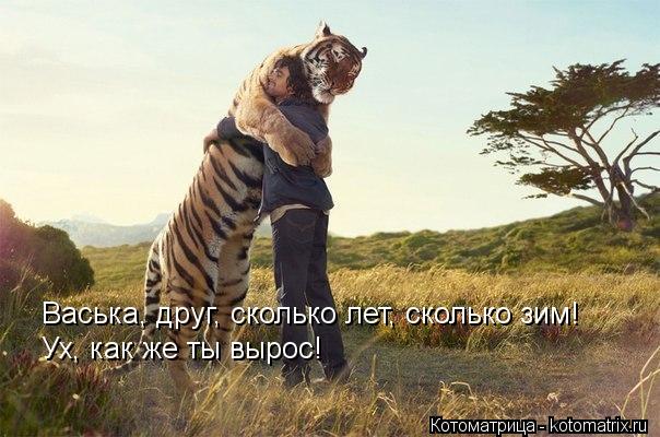 Васька, друг, сколько лет, сколько зим! Ух, как же ты вырос!... Котоматрица: Васька, друг, сколько лет, сколько зим! Ух, как же ты вырос!