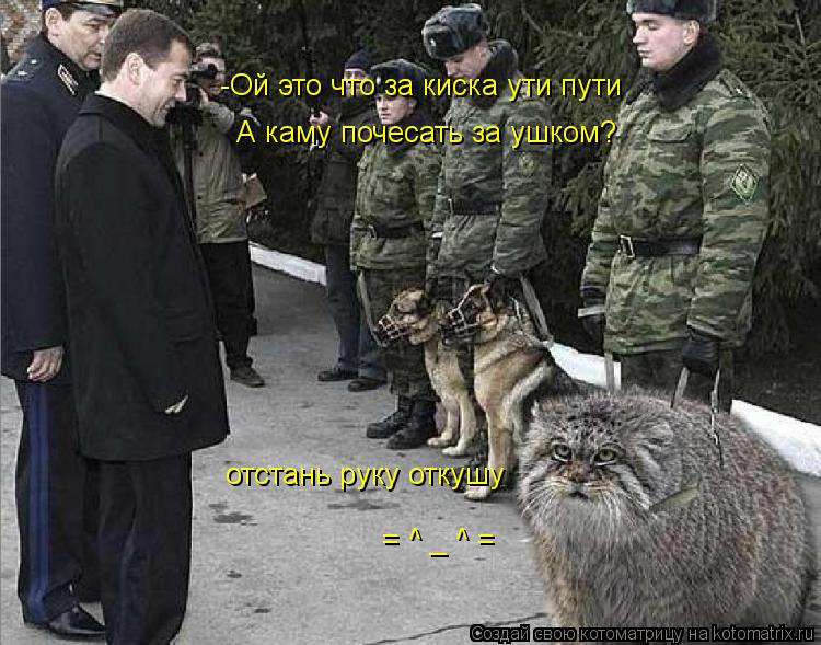 -Ой это что за киска ути пути А каму почесать за ушком? отстань руку откушу = ^ _ ^ =... Котоматрица: -Ой это что за киска ути пути А каму почесать за ушком? отстань руку откушу = ^ _ ^ =