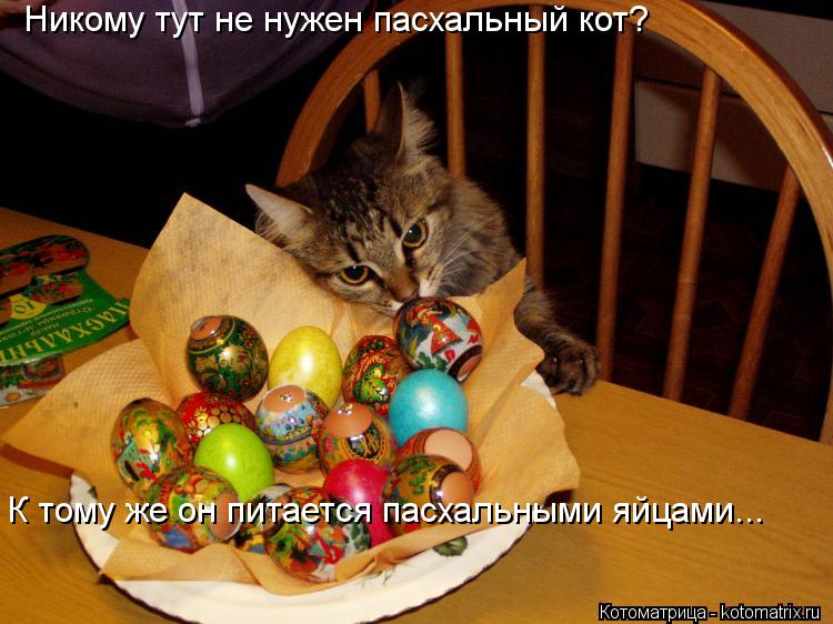 Никому тут не нужен пасхальный кот? К тому же он питается пасхальными яйцами...... Котоматрица: Никому тут не нужен пасхальный кот? К тому же он питается пасхальными яйцами...