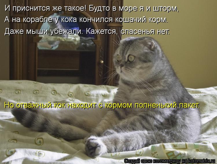 И приснится же такое! Будто в море я и шторм, А на корабле у кока кончился кошачий корм. Даже мыши уб... Котоматрица: И приснится же такое! Будто в море я и шторм, А на корабле у кока кончился кошачий корм. Даже мыши убежали. Кажется, спасенья нет. Но отважный