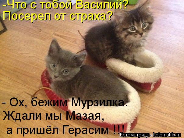 -Что с тобой Василий? Посерел от страха? - Ох, бежим Мурзилка. Ждали мы Мазая, а пришёл Герасим !!!... Котоматрица: -Что с тобой Василий? Посерел от страха? - Ох, бежим Мурзилка. Ждали мы Мазая, а пришёл Герасим !!!
