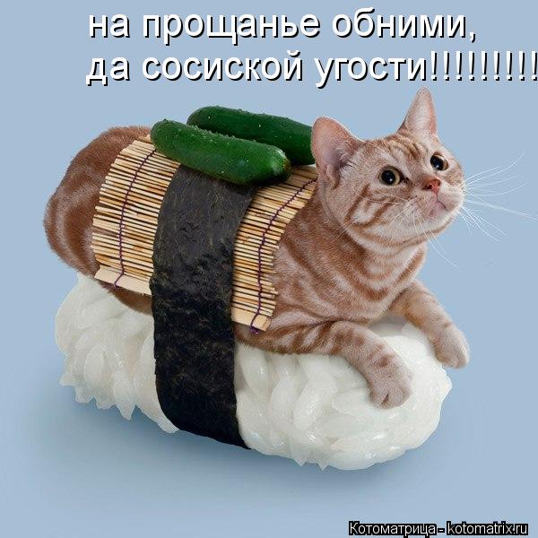 на прощанье обними, да сосиской угости!!!!!!!!!!!!... Котоматрица: на прощанье обними, да сосиской угости!!!!!!!!!!!!