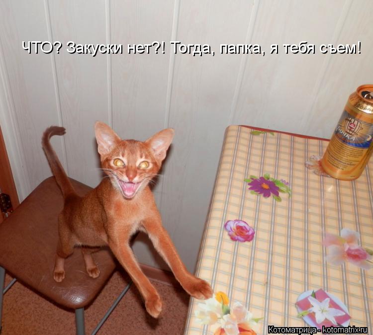ЧТО? Закуски нет?! Тогда, папка, я тебя съем!... Котоматрица: ЧТО? Закуски нет?! Тогда, папка, я тебя съем!