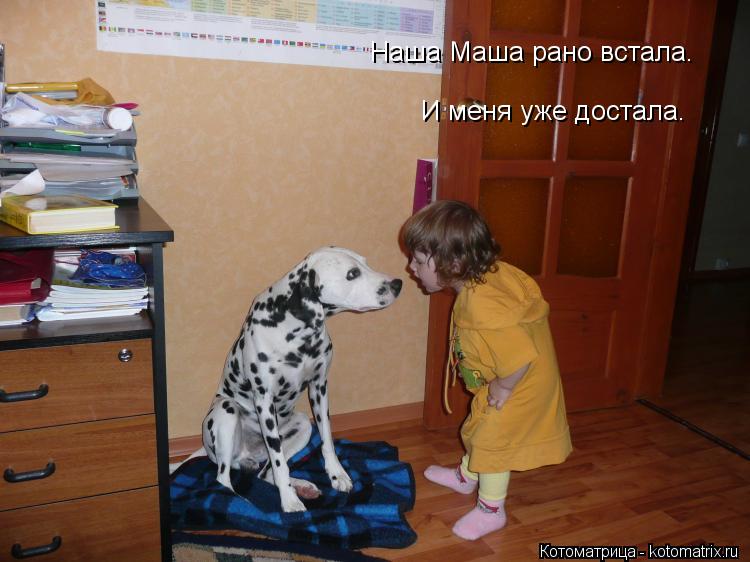 Наша Маша рано встала. И меня уже достала.... Котоматрица: Наша Маша рано встала. И меня уже достала.