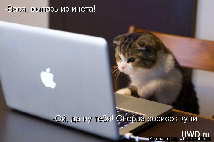 Котоматрица: -Вася, вылазь из инета! -Ой, да ну тебя! Сперва сосисок купи