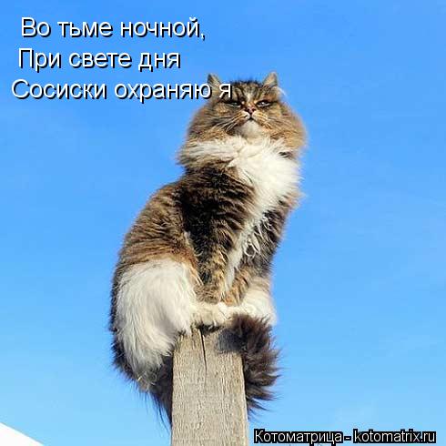 Во тьме ночной, При свете дня Сосиски охраняю я... Котоматрица: Во тьме ночной, При свете дня Сосиски охраняю я