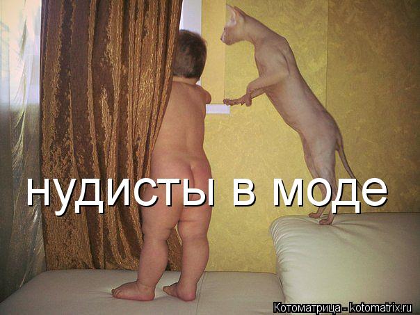 нудисты в моде... Котоматрица: нудисты в моде