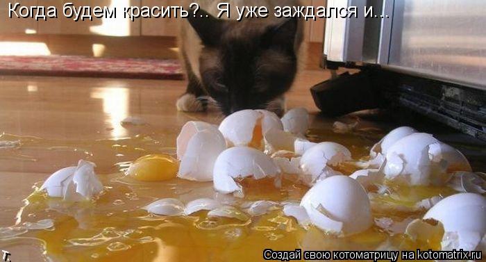 Когда будем красить?.. Я уже заждался и...... Котоматрица: Когда будем красить?.. Я уже заждался и...