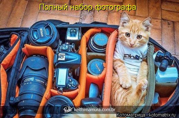 Полный набор фотографа... Котоматрица: Полный набор фотографа