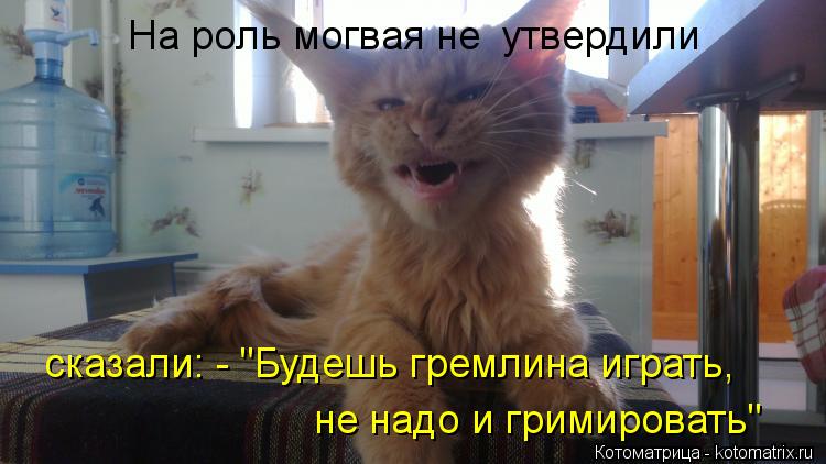 На роль могвая не утвердили сказали: - "Будешь гремлина играть, не надо и гримировать"... Котоматрица: На роль могвая не утвердили сказали: - "Будешь гремлина играть, не надо и гримировать"