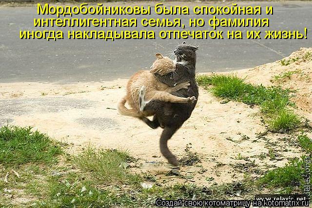 Мордобойниковы была спокойная и интеллигентная семья, но фамилия иногда накладывала отпечаток на их ... Котоматрица: Мордобойниковы была спокойная и интеллигентная семья, но фамилия иногда накладывала отпечаток на их жизнь!
