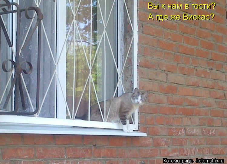 Вы к нам в гости? А где же Вискас?... Котоматрица: Вы к нам в гости? А где же Вискас?