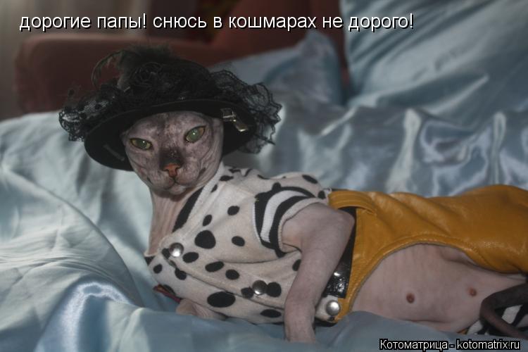 дорогие папы! снюсь в кошмарах не дорого!... Котоматрица: дорогие папы! снюсь в кошмарах не дорого!