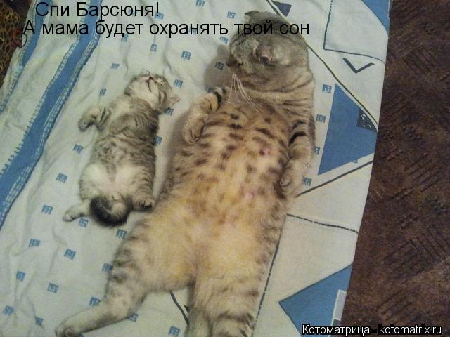 Спи Барсюня! А мама будет охранять твой сон... Котоматрица: Спи Барсюня! А мама будет охранять твой сон